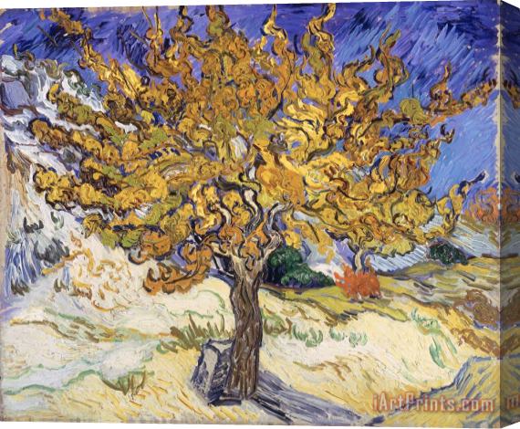 Vincent Van Gogh Mulberry Tree Stretched Canvas Painting / Canvas Art