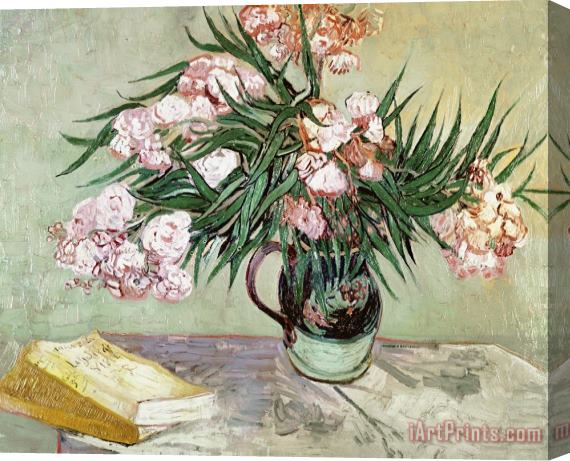 Vincent van Gogh Oleanders and Books Stretched Canvas Painting / Canvas Art