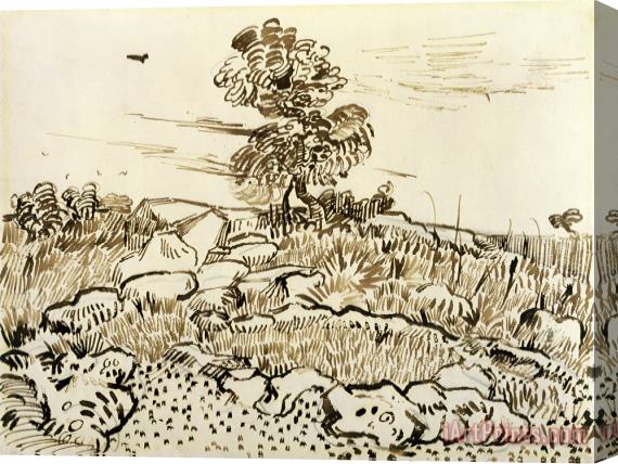 Vincent van Gogh Rocky Ground at Montmajour Stretched Canvas Print / Canvas Art