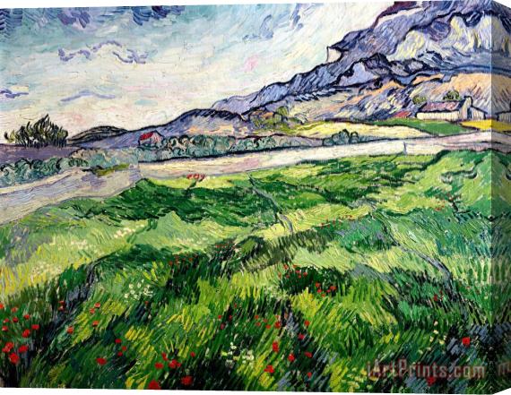 Vincent van Gogh The Green Wheatfield behind the Asylum Stretched Canvas Print / Canvas Art