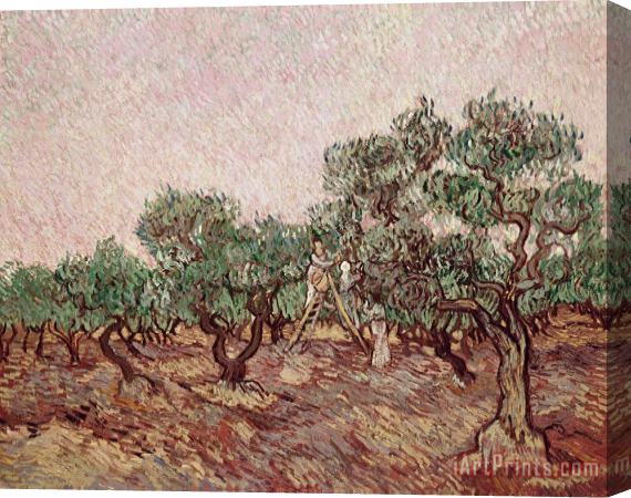 Vincent van Gogh The Olive Pickers Stretched Canvas Painting / Canvas Art