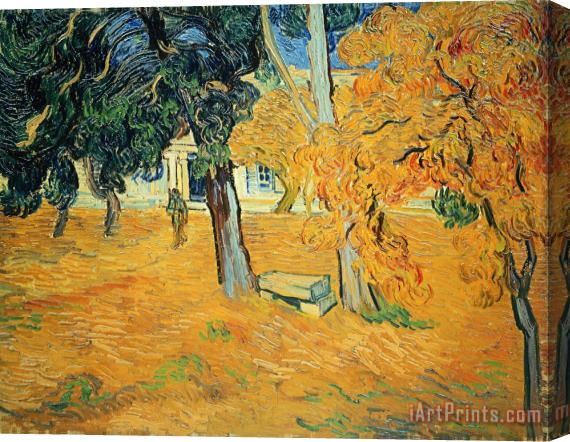 Vincent van Gogh The Park at Saint Pauls Hospital Saint Remy Stretched Canvas Print / Canvas Art
