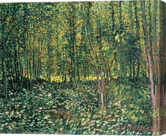 Vincent van Gogh Trees and Undergrowth Stretched Canvas Painting / Canvas Art
