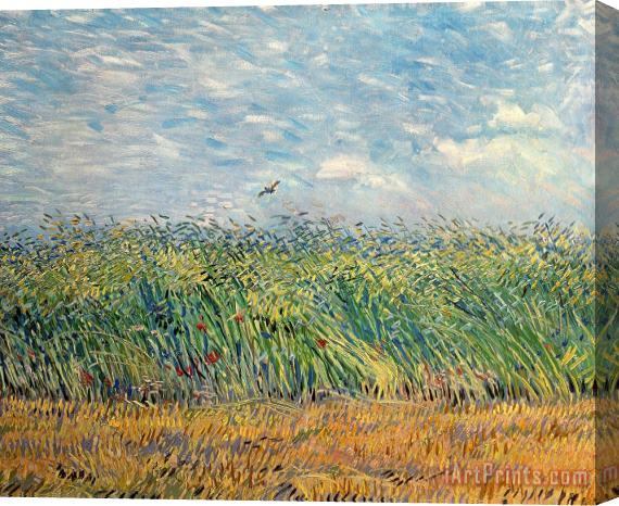 Vincent van Gogh Wheatfield With Lark Stretched Canvas Painting / Canvas Art
