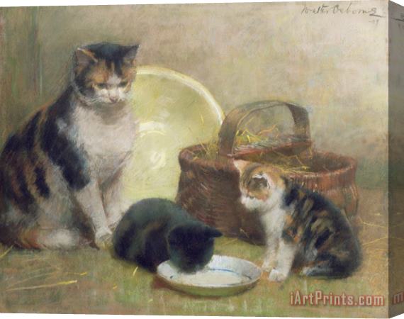 Walter Frederick Osborne Cat and Kittens Stretched Canvas Painting / Canvas Art