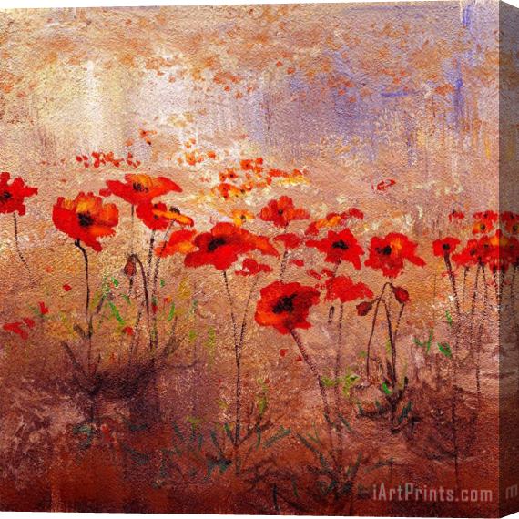 Wendy Kroeker Field Poppies 2 Stretched Canvas Painting / Canvas Art