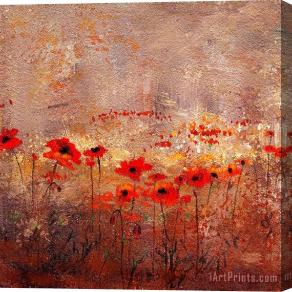 Wendy Kroeker Field Poppies 3 Stretched Canvas Painting / Canvas Art