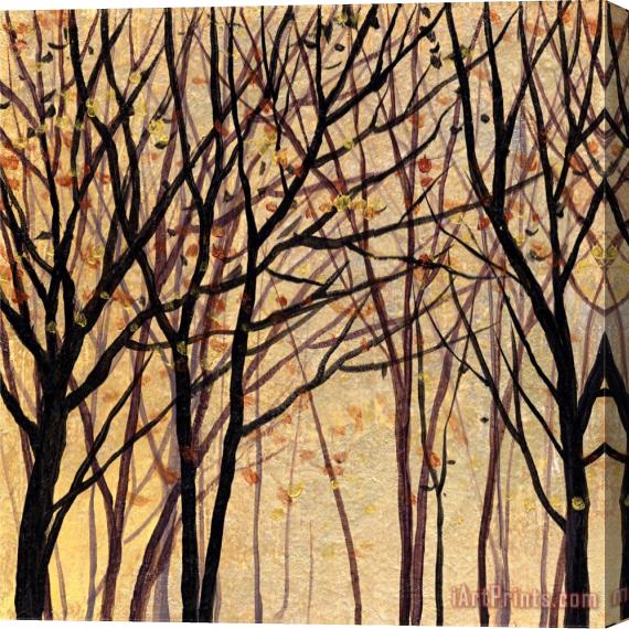 Wendy Kroeker Moon Shadow Trees 1 Stretched Canvas Print / Canvas Art