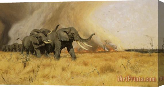 Wilhelm Kuhnert Elephants Moving Before a Veldt Fire Stretched Canvas Painting / Canvas Art