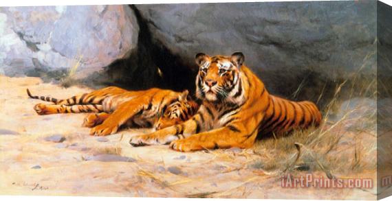 Wilhelm Kuhnert Tigers Resting Stretched Canvas Print / Canvas Art