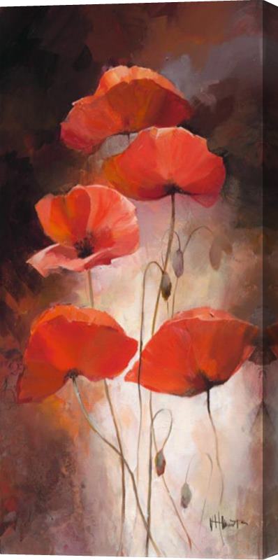 willem haenraets Poppy Bouquet Ii Stretched Canvas Print / Canvas Art