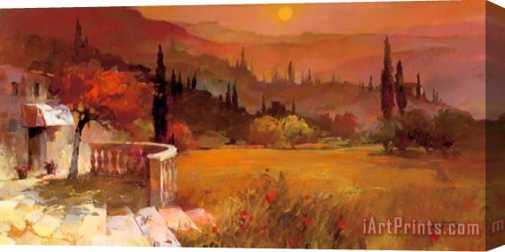 willem haenraets Romantic Tuscany I Stretched Canvas Print / Canvas Art