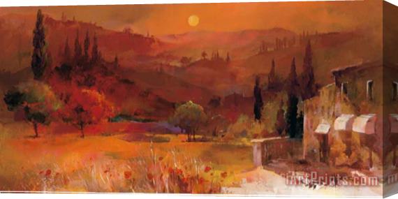 willem haenraets Romantic Tuscany Ii Stretched Canvas Painting / Canvas Art