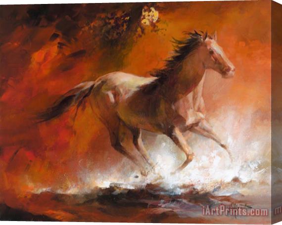 willem haenraets Wild Horses I Stretched Canvas Print / Canvas Art