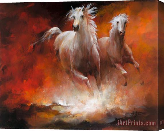 willem haenraets Wild Horses Ii Stretched Canvas Print / Canvas Art