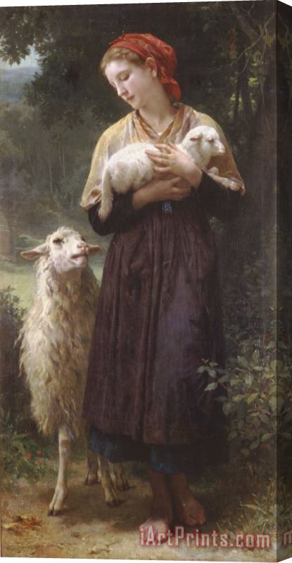 William Adolphe Bouguereau The Newborn Lamb Stretched Canvas Print / Canvas Art