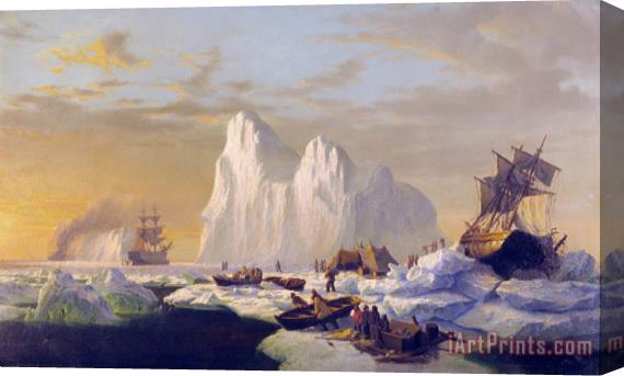 William Bradford Caught in The Ice Floes Stretched Canvas Print / Canvas Art