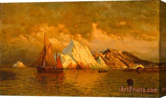 William Bradford Near Midnight Labrador Stretched Canvas Painting / Canvas Art