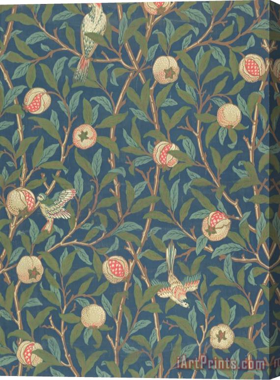 William Morris Bird And Pomegranate Stretched Canvas Print / Canvas Art