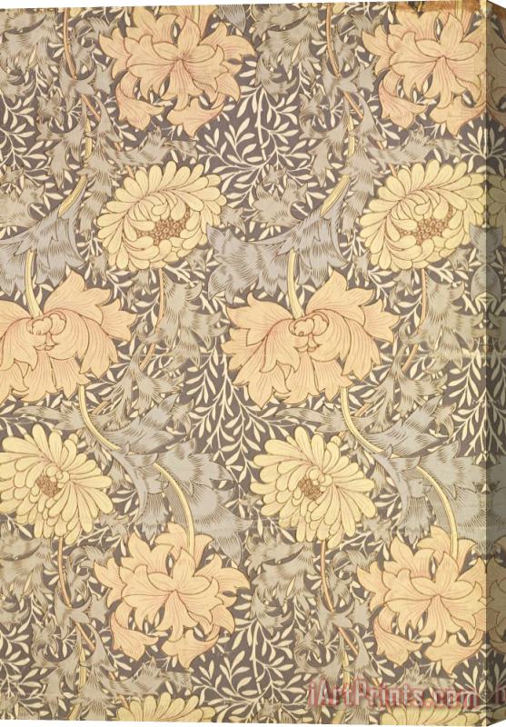 William Morris Chrysanthemum Stretched Canvas Print / Canvas Art