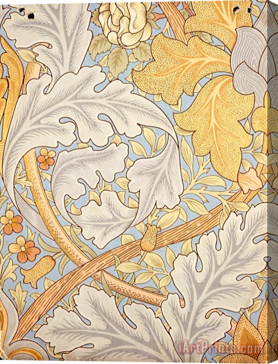 William Morris St James Wallpaper Design Stretched Canvas Print / Canvas Art