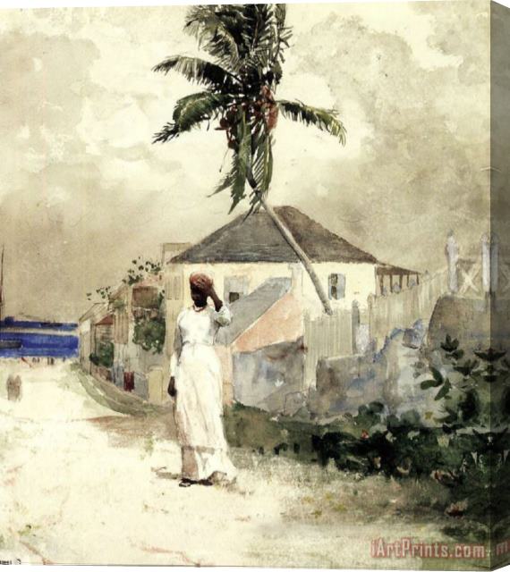 Winslow Homer Along The Road Bahamas Stretched Canvas Painting / Canvas Art