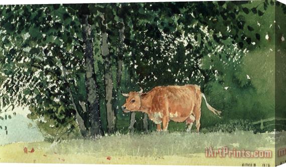 Winslow Homer Cow in Pasture Stretched Canvas Print / Canvas Art