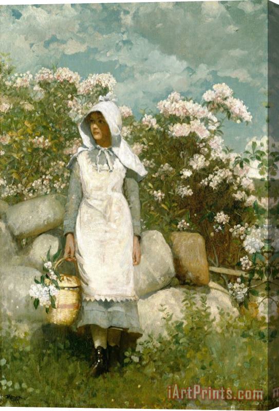 Winslow Homer Girl And Laurel Stretched Canvas Painting / Canvas Art