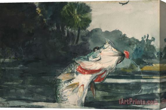 Winslow Homer Life Size Black Bass Stretched Canvas Painting / Canvas Art