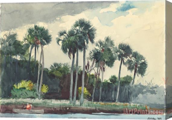 Winslow Homer Red Shirt, Homosassa, Florida Stretched Canvas Painting / Canvas Art
