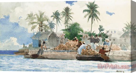 Winslow Homer Sponge Fisherman in the Bahama Stretched Canvas Print / Canvas Art