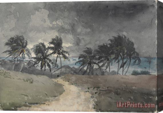 Winslow Homer Storm, Bahamas Stretched Canvas Print / Canvas Art