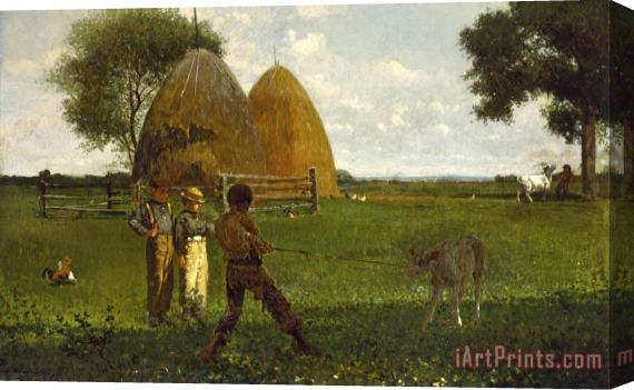 Winslow Homer Weaning The Calf Stretched Canvas Print / Canvas Art