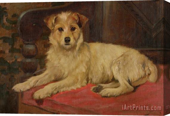 Wright Barker A Terrier on a Settee Stretched Canvas Painting / Canvas Art