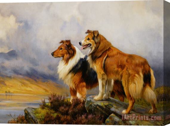 Wright Barker Two Collies Above a Lake Stretched Canvas Print / Canvas Art