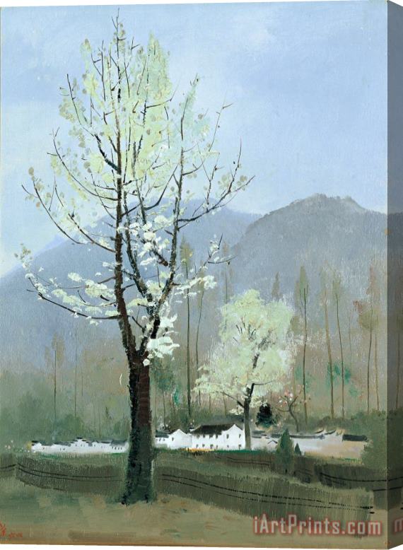Wu Guanzhong Pear Tree, 1964 Stretched Canvas Print / Canvas Art