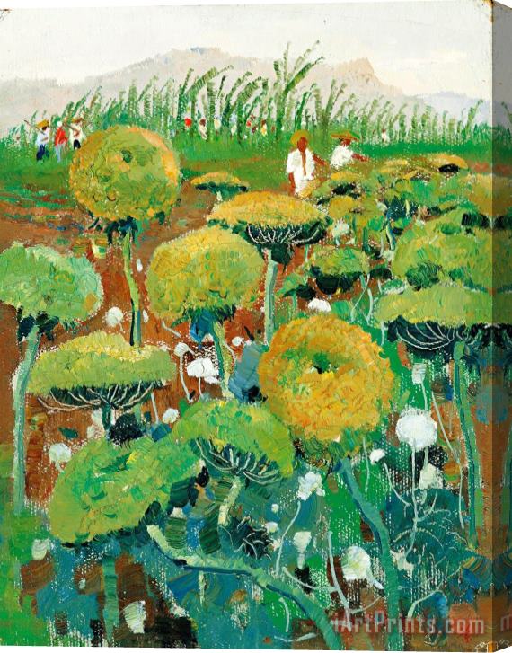 Wu Guanzhong Turnip Flowers, 1972 Stretched Canvas Print / Canvas Art
