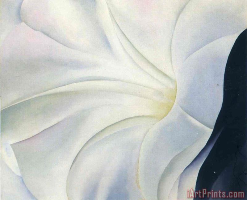 Georgia O'keeffe Morning Glory with Black painting - Morning Glory with ...