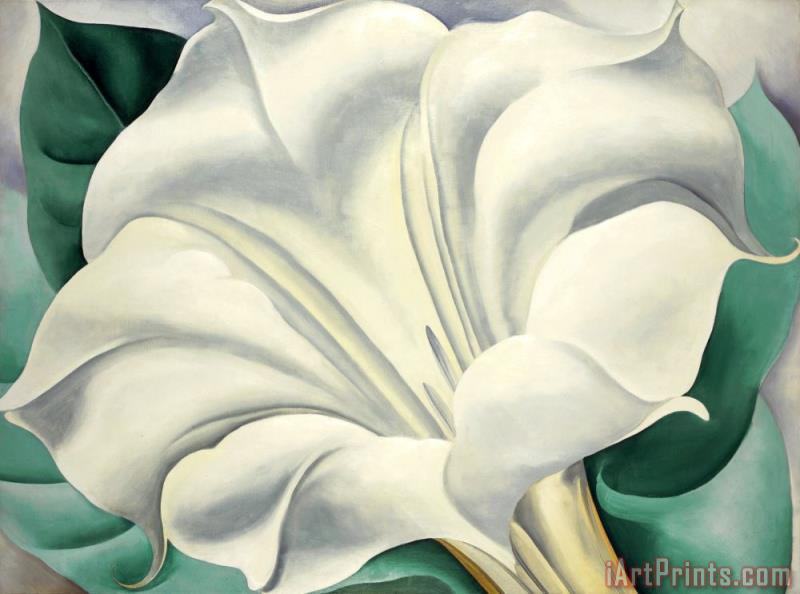 Georgia O'Keeffe White Trumpet Flower Art Painting for sale ...