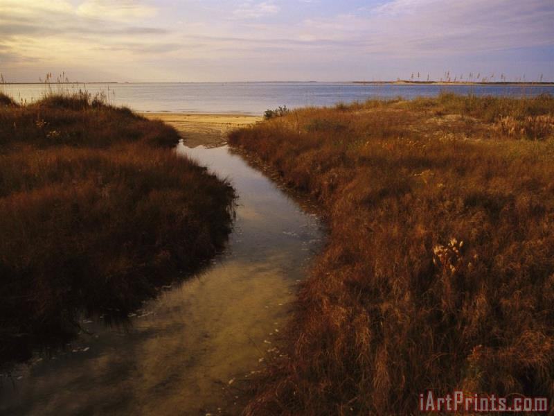 Raymond Gehman Tidal Creek Through Salt Marsh Grasses painting Tidal